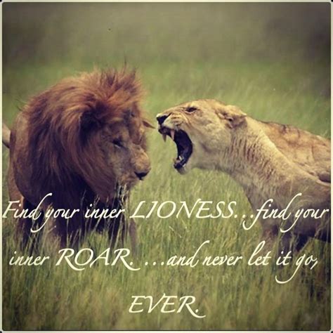 lioness quotes|Top 50 LIONESS quotes and saying